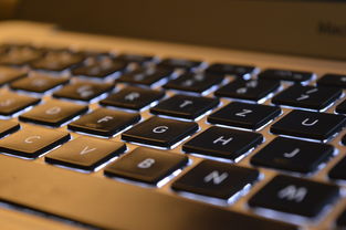 简约风格下的高效伴侣 MacBook Air在家庭办公室与现代工作场所中的角色